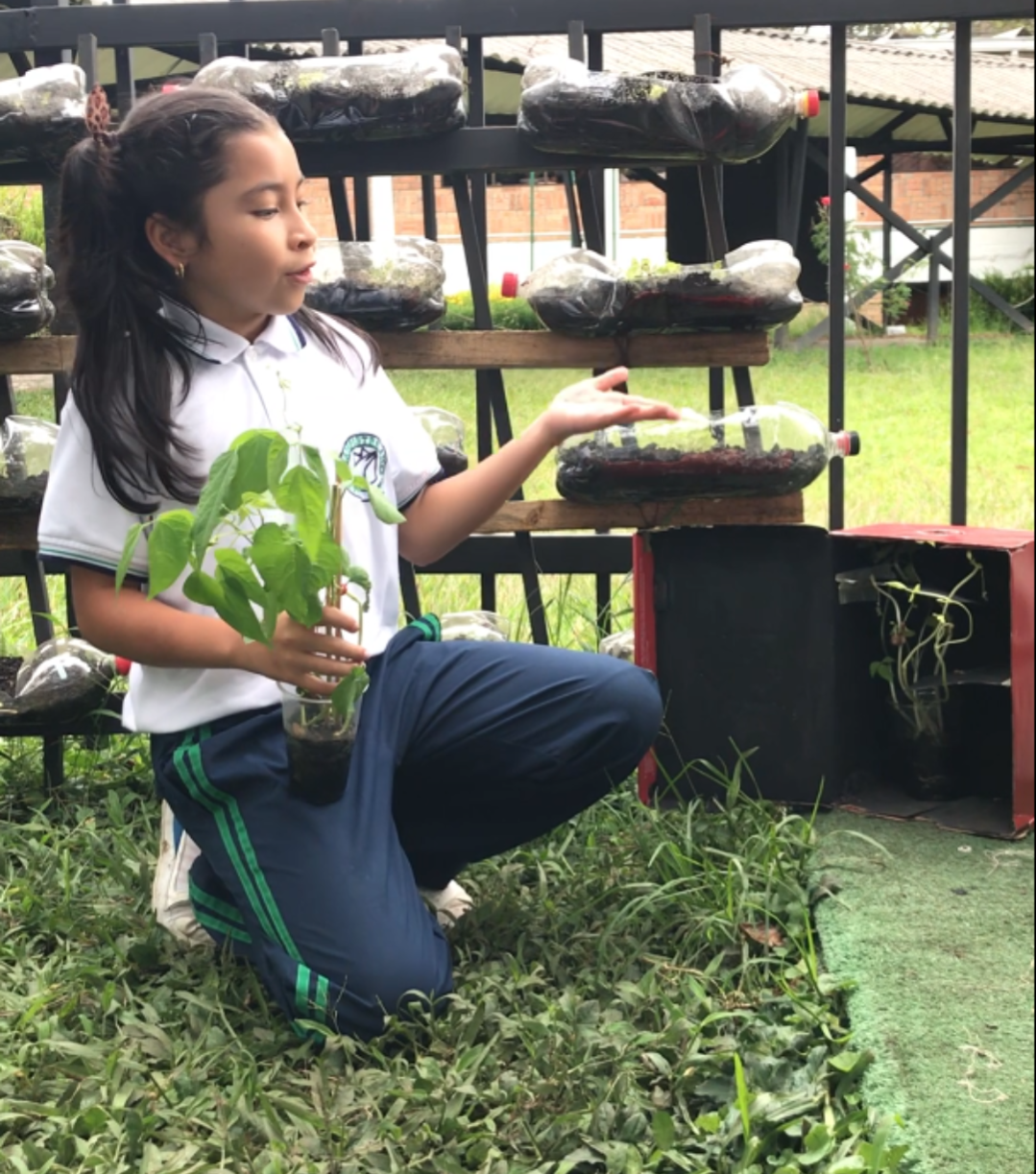 Colegio Campestre Americano en Popayán - Imagen acampestre cards